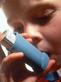Как выяснилось, за склонность к астме у детей отвечает ген DEBNND1B
