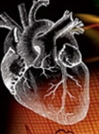 Учёные разрабатывают 3D-модель сердца