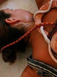 СПА-массаж со змеями