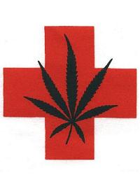 В некоторых американских штатах легализуют применение марихуаны в медицинских целях