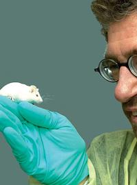 Мыши - настоящий клад для учёных