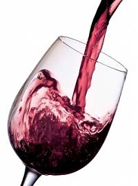 Жестокая правда: вино сушит мозг