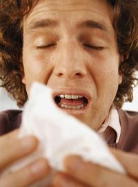 Обычный сезонный грипп тоже поражает дыхательные рецепторы, но только A/H1N1 способен проникать глубоко в лёгкие