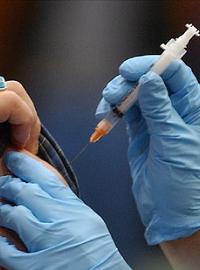 Вакцина от свиного гриппа появится не раньше, чем через полгода