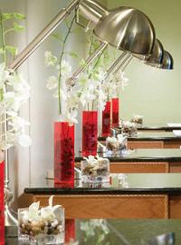 Интерьер Red Door Spas с белыми орхидеями