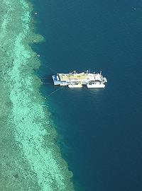 ReefWorld, Большой барьерный риф, Австралия